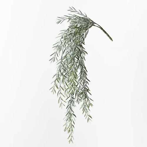 Floral Interiors Acacia Leaf Hanging Bush - Green Grey